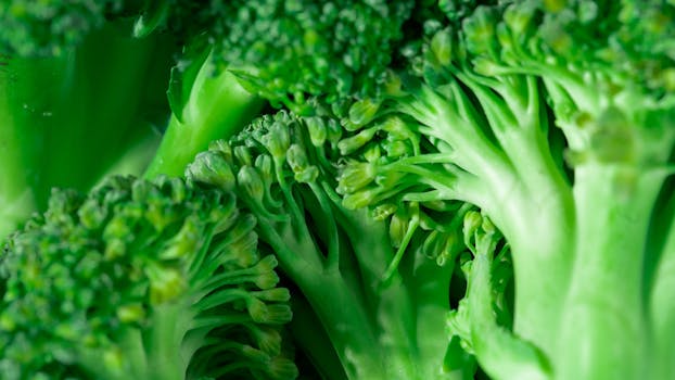 Mastering How to Create an Eco-Friendly Kitchen Setup: Your Path to Sustainable Living